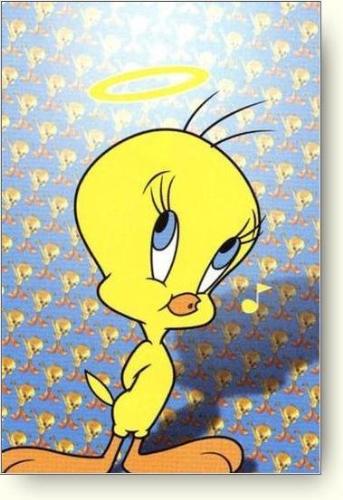 Tweety03 - Tweety03