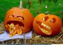 haloween - haloween