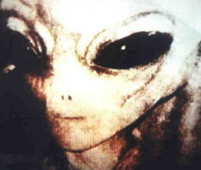 alien - this is a picture of an alien.