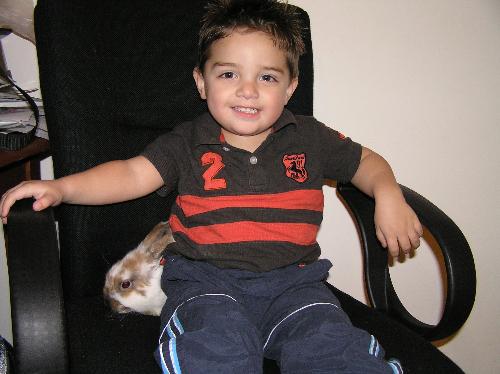 My Beautiful Son - This photo is of my now 3 year old son. As he was 2 and a half at the time. He loves his bunny and his mummy very very much ( well i hope he does haha)