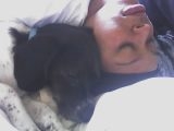 alan and his daddy  - this is my dog alan and his daddy sleeping