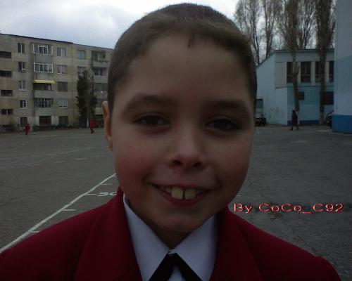 Nice donkey :) - this is a picture taken in school 7 from Constanta Romania :)