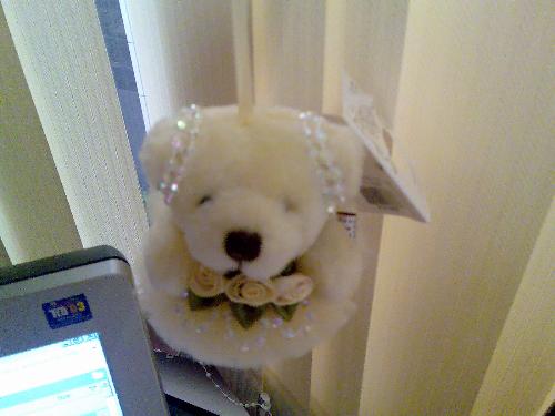 Cute Bear Top View - My Boss went KL & bought me this cute little bear tat ve a fragance...