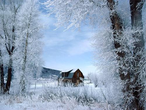 colorado winter - Beautiful picture of the Colorado Winter.