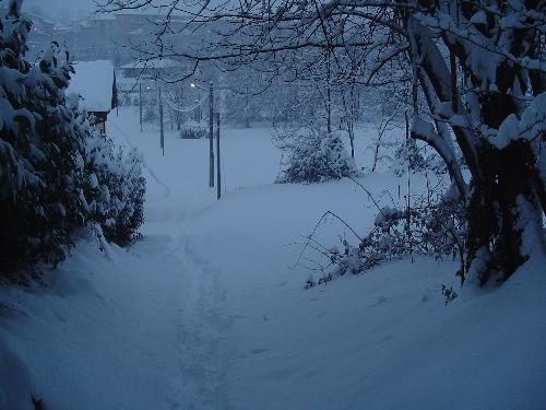 Winter snow - Jan 27, 2006 This is a place near my house, in northern Italy. I like the snow!