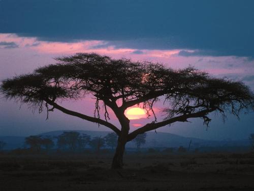 East African Sunset - 1600x1200 - ID 24704 - Destination - East African Sunset - 1600x1200 - ID 24704............ Best locations from around the world ... Truly an adventurer's paradise...High Resolution Photography
