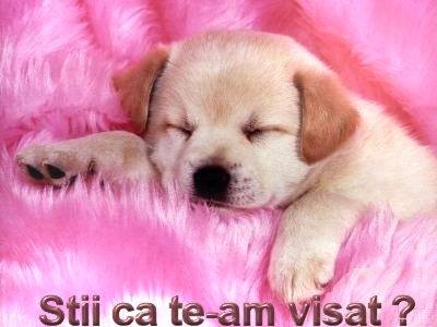 dreaming - dream