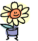 flower - flower in a pot with movement