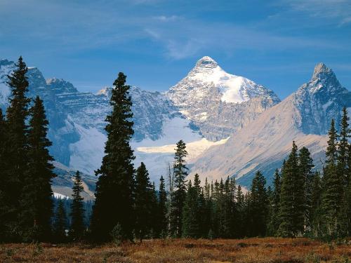 Mount Athabasca, Jasper National Park, Alberta - - Destination - Mount Athabasca, Jasper National Park, Alberta -............ Best locations from around the world ... Truly an adventurer's paradise...High Resolution Photography