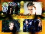 lifehouse - lifehouse