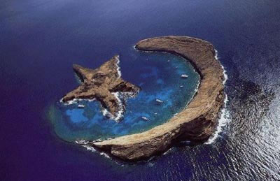 Star & Moon - Star & Moon in the Ocean! So real