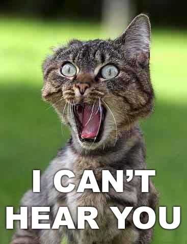 I can't Hear You... - Just a funny pic of a cat. I LOVE it, and awnted to share!