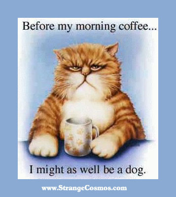 ME IN THE MORNING - cat needing morning coffee