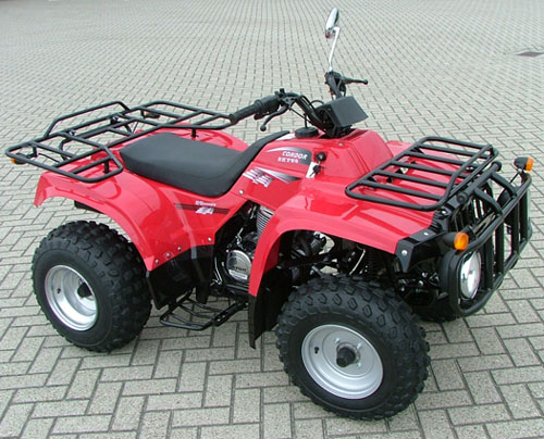 3142poza_1 - 3142poza_1