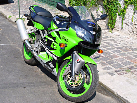 3146poza_1 - 3146poza_1