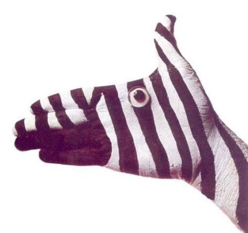 Zebra - animal with a stripe color.