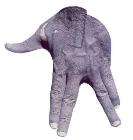 Elephant - longest lifespan among the other animals