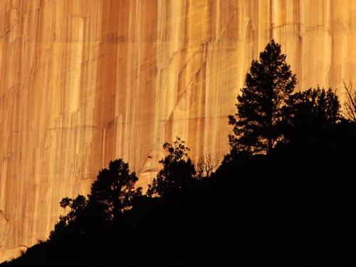 Zion National Park, Utah - 1600x1200 - ID 44561  - Destination - Zion National Park, Utah - 1600x1200 - ID 44561 ............ Best locations from around the world ... Truly an adventurer's paradise...High Resolution Photography