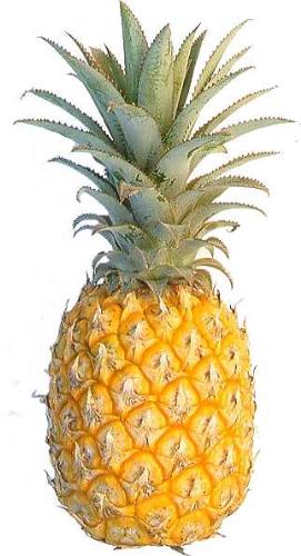 pineapple - a delisious fruit