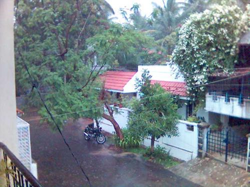 heavy rain - This is picture near my house wherein there was heavy rain..