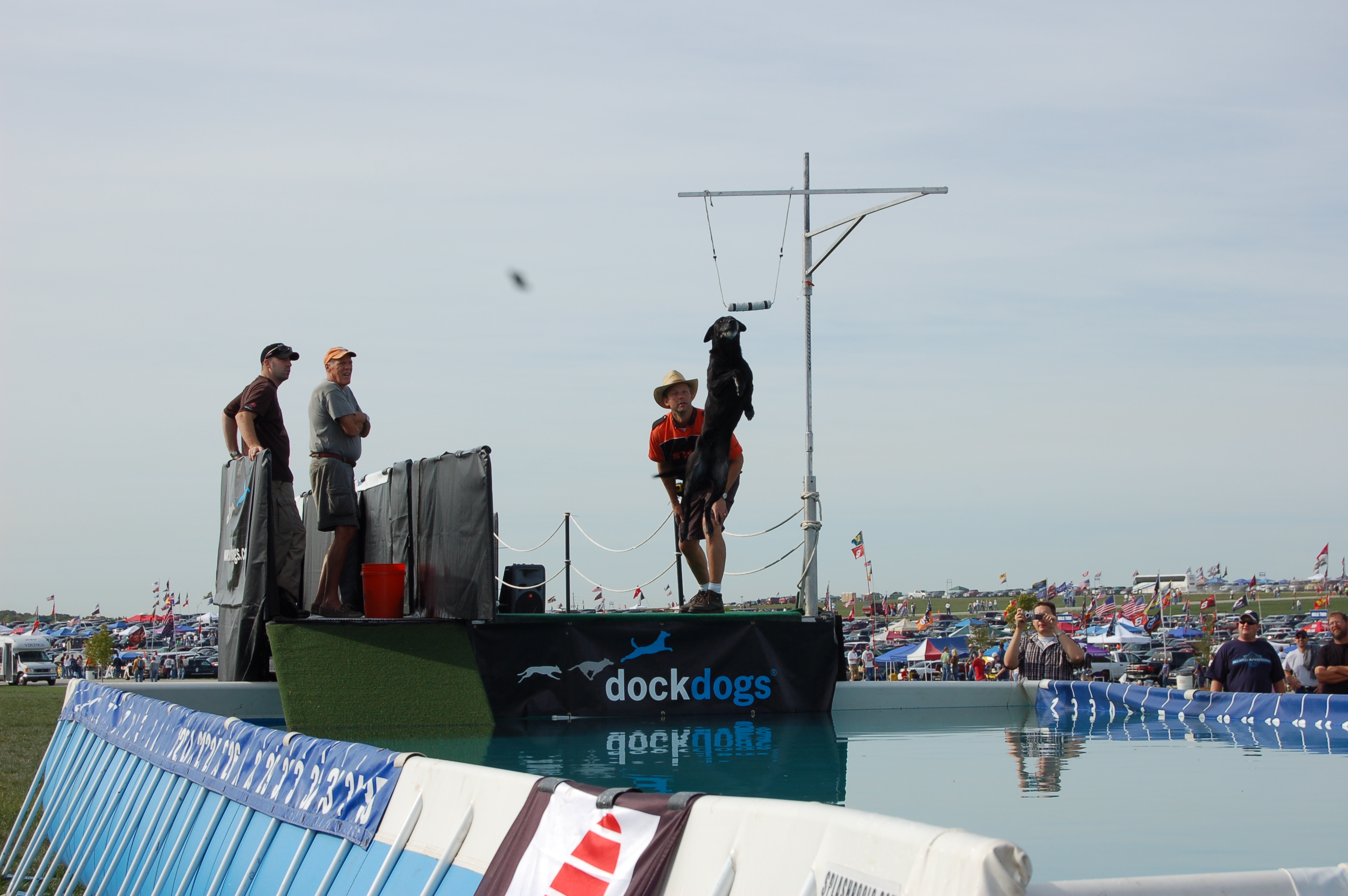 Dock Dogs - We saw this show at the Busch race in Kansas. The dogs are trained to jump out and grab the object that is hanging over the water. They are judged on the distance that they jump to get the object. It was pretty interesting.