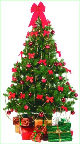 christmas - christmas tree