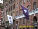 NYU - flags on Haden residential hall, reminding us where we are studying