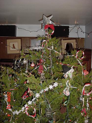 Hillbilly Christmas Tree - Hillbilly Christmas Tree