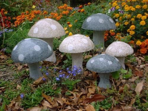 mushrooms - mushrooms mushrooms - mushrooms
