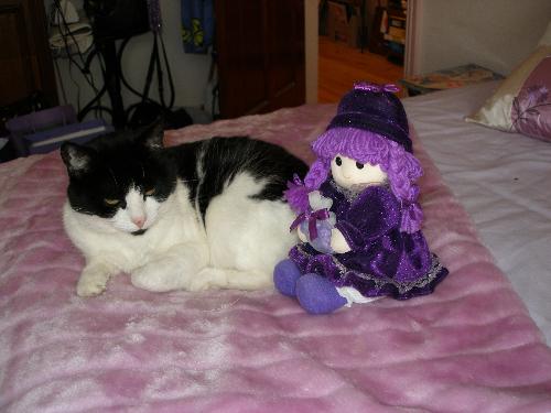 Penelope with Stumpy - Penelope with my cat Stumpy