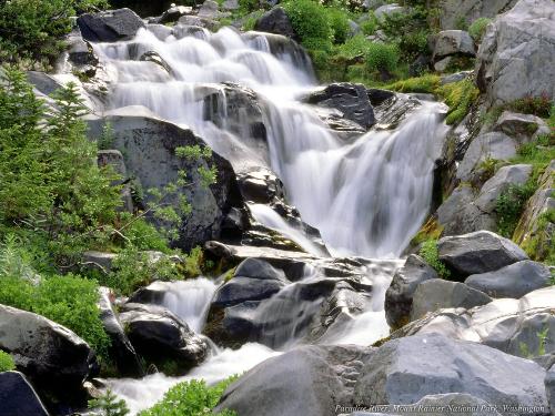 wayanad india - wayanad india