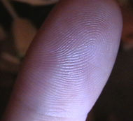 Fingerprint - Is this your finger print?