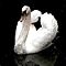 Swan