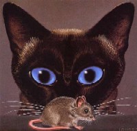 Cats And Mice - Cats And Mice