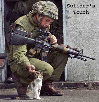 A soldiers touch - A soldier bending down to pet a kitty during a war.
