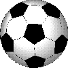 soccer - soccer