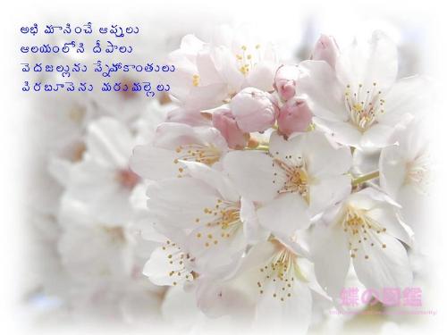 SnehaMallelu - This is the way we have to feel abt frdship.