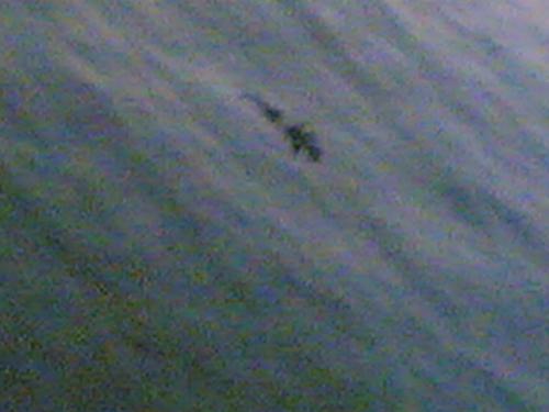 ??? - guess???