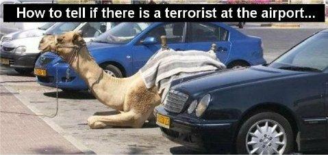 Click to enlarge! Funny pics! - Some funny pics uploaded by Wavelander