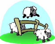 Counting Sheep - counting sheep talking in your sleep