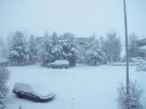 Wild Winter Weather - Wild Winter Weather