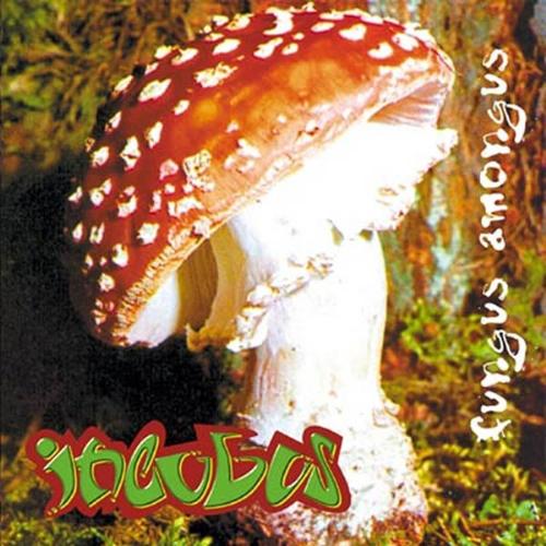 Fungus Amongus - Fungus Amongus is the first publicly released album produced by the rock band Incubus, released November 1, 1995 on Stopuglynailfungus Music On Chillum, Incubus&#039; own independent label. It was later re-released under Sony on November 7, 2000 after popular demand. Many of the names given under &#039;Personnel&#039; are actually pseudonyms for the Incubus members. &#039;Fabio&#039; is guitarist Mike Einziger. &#039;Dirk Lance&#039; is bassist Alex Katunich, who later adopted &#039;Dirk Lance&#039; as his stage name. &#039;Brandy Flower&#039; is an actual Sony employee, and &#039;Happy Knappy&#039; is vocalist Brandon Boyd. &#039;Brett&#039; and &#039;Brett Spivery&#039; refer to Brett Spivey, long time friend of the band, who went on to make their first two DVDs, and the videos for I Miss You and Summer Romance (Anti-Gravity Love Song).