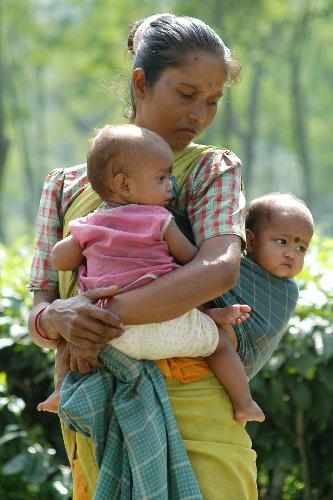 MOTHER AND CHILD - TEA TRIBAL WOMAN WITH YOUNG CHILD AT ASSAM,INDIA