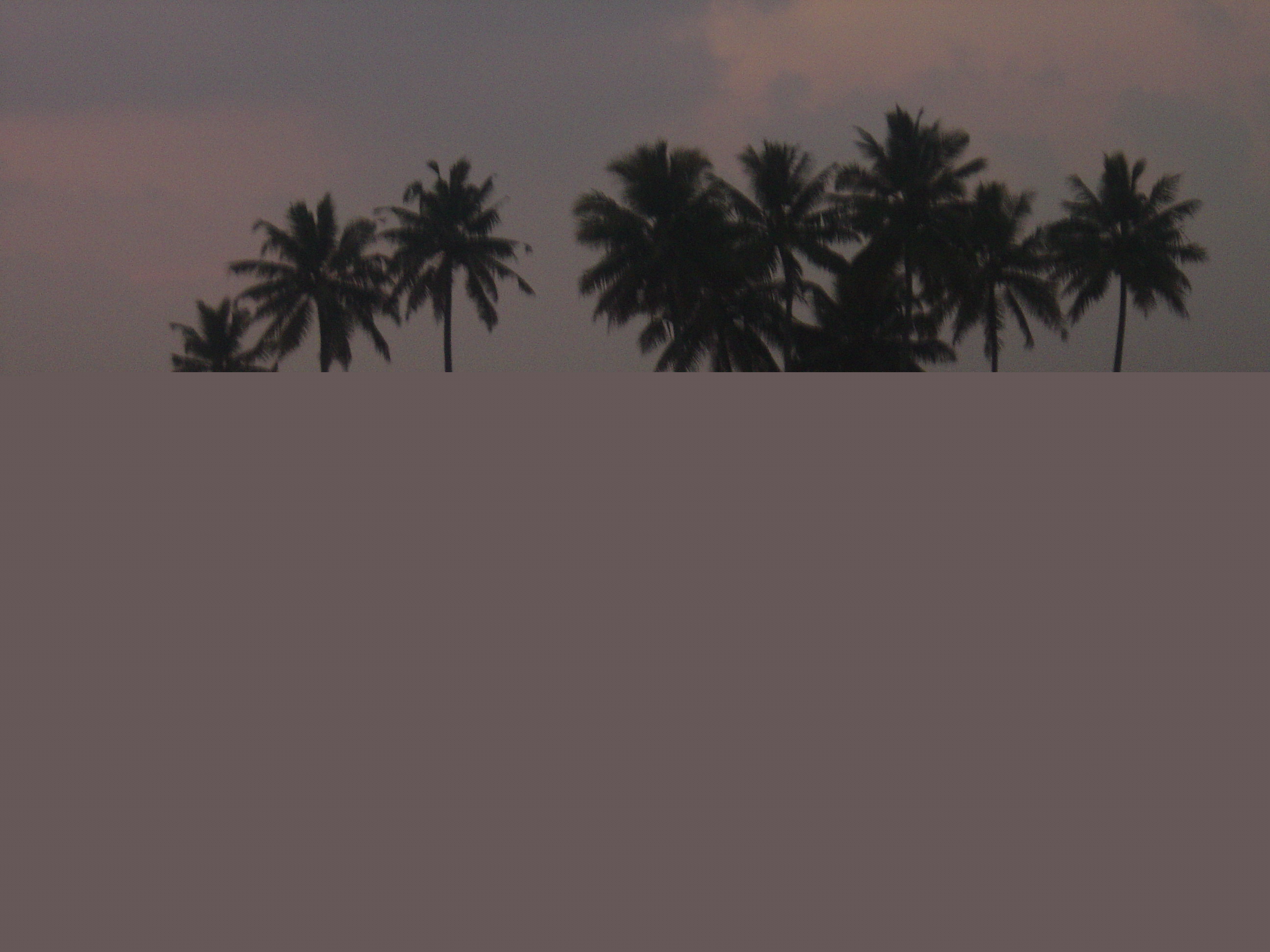 kerla - india  - backwaters of kerla .. i love this picture