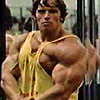 Arnold - Arnold