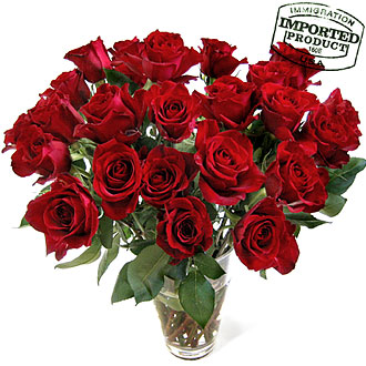 bought them from MICHIGAN - flowers