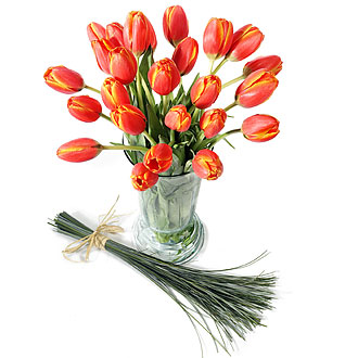 orange colour tulips - beautiful