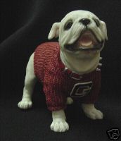 GA Bulldog - this is a Georgia Bulldog