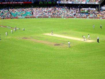 cricket field - cricket field