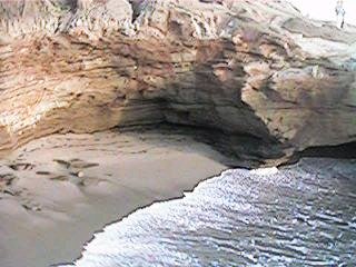 Cliff at San Diego - This is a pic of the cliff at San Diego.  I think it was at Mission Bay but I'm not completely sure.